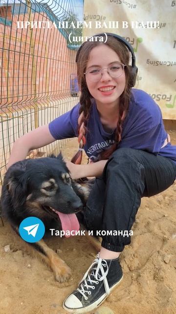 Не шмагла! Волонтеры "Тарасик и команда", приют в ТиНАО