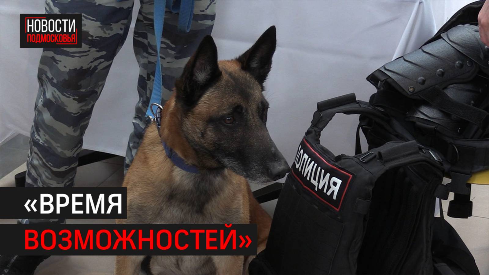 Всероссийская ярмарка трудоустройства стартовала в Химках // 360 Химки