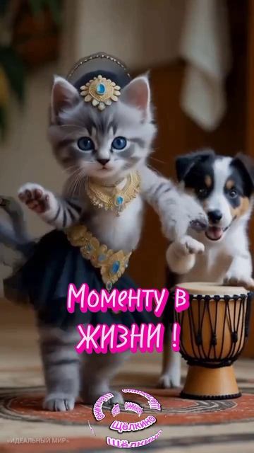 Доброе утро. ВидеоОткрытка