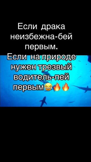 Мысли вслух