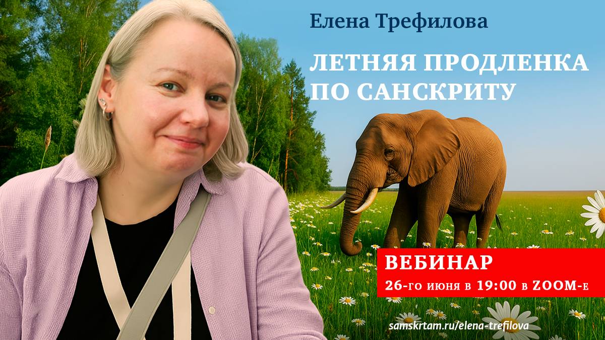 Вводный вебинар по летнему интенсиву «Продленка с Еленой Трефиловой»