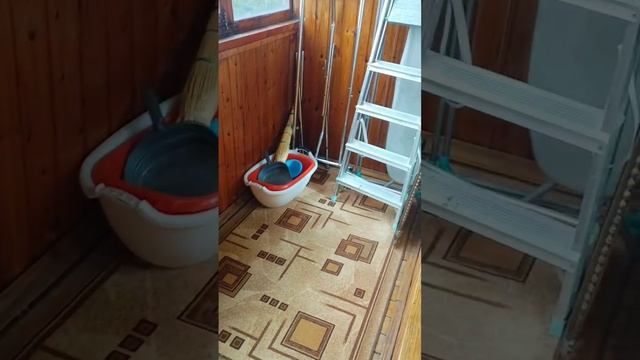 1000223064.mp4