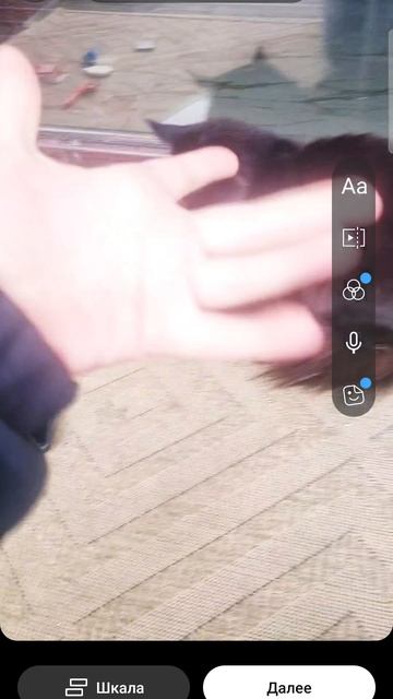 1000010063.mp4