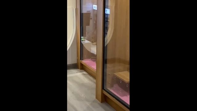 Смешные котики - часть 24