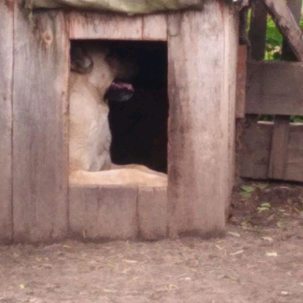 Строх