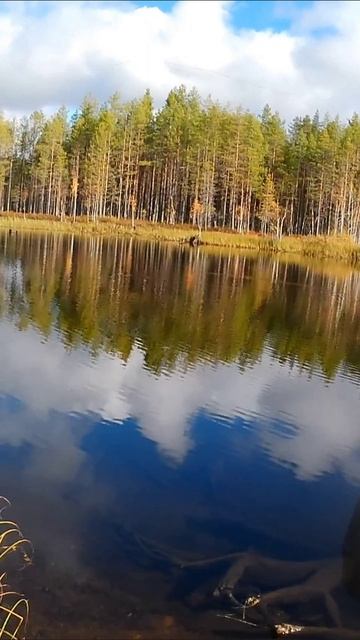 Места для лагеря. Похождения в Карелии.