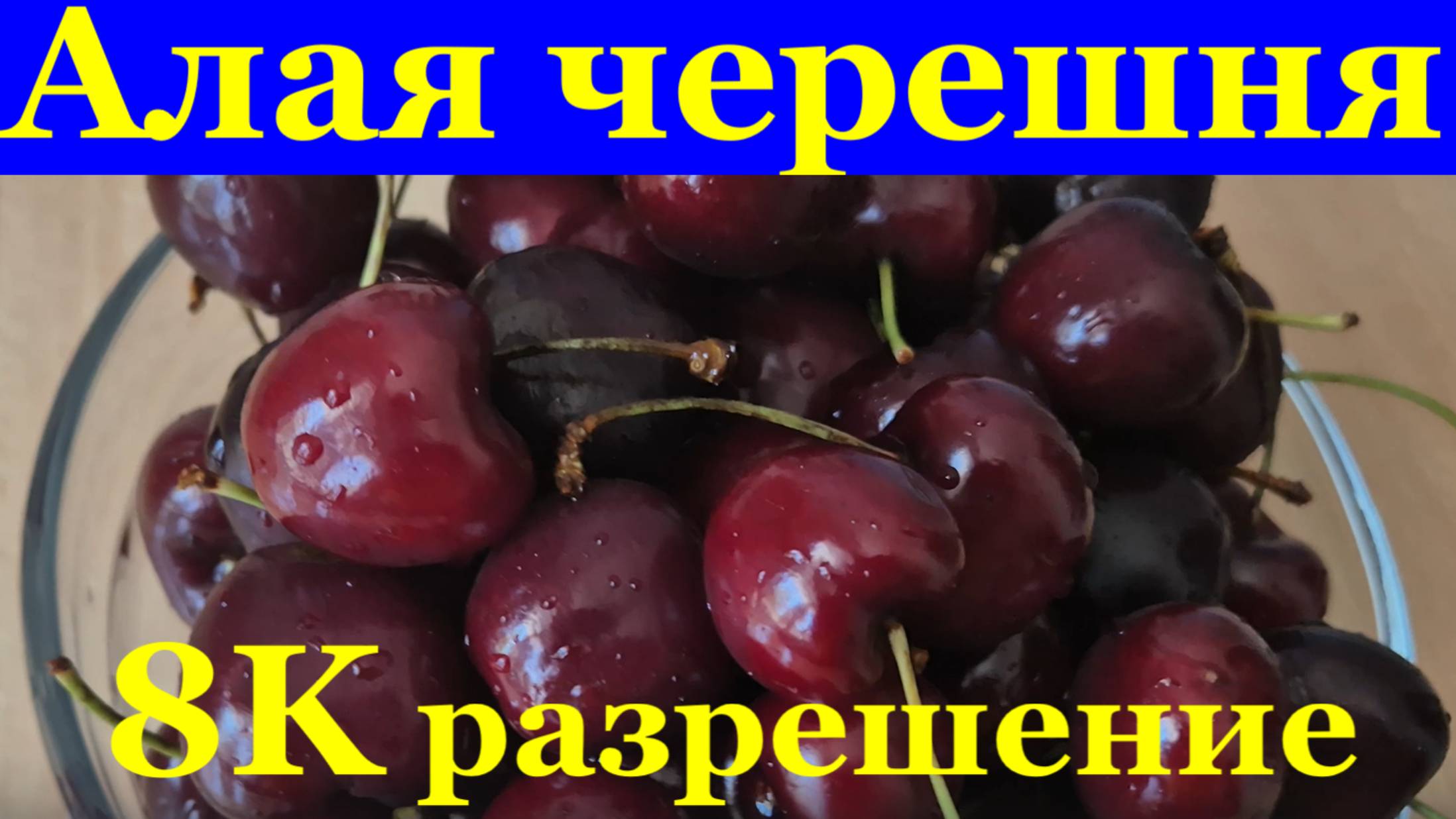 Песня Алая черешня Видео 8K разрешение