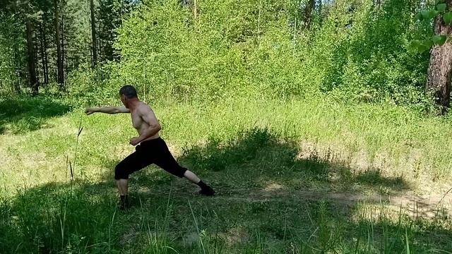 Кунг-фу 584