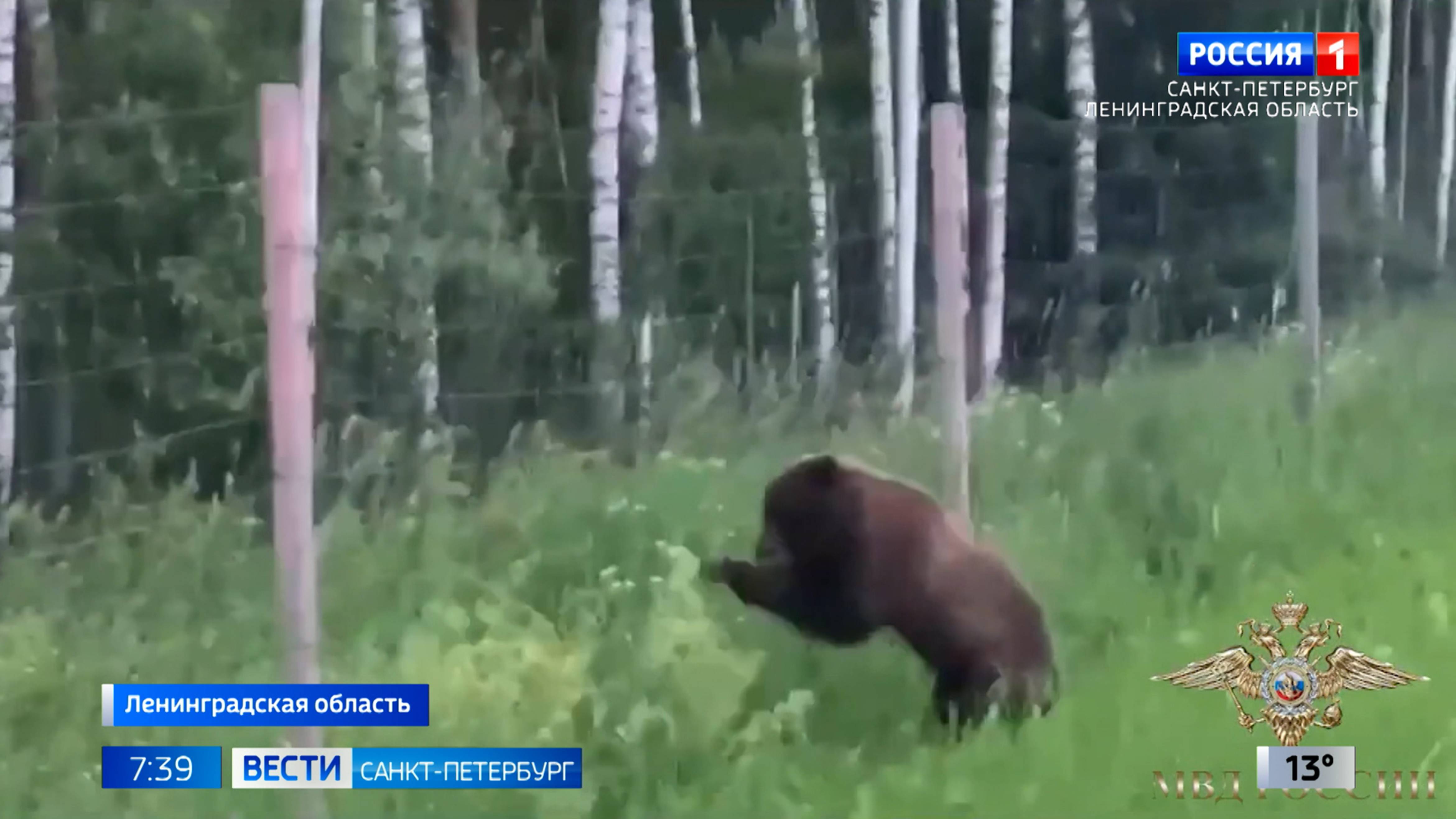 Вести Санкт-Петербург. Выпуск 07.35 от 26.06.2025