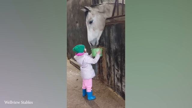 Особенный момент между маленьким другом и лошадью