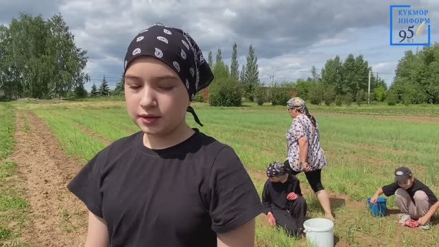 Мәктәпләрдә укучыларның җәйге практикасы бара