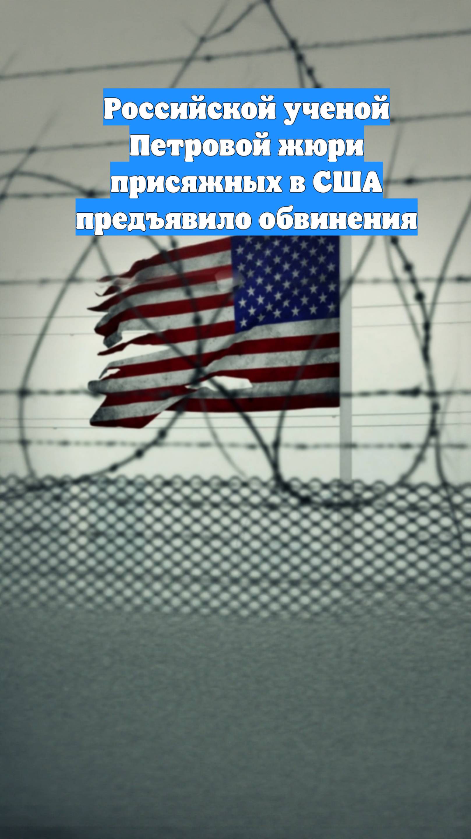 Российской ученой Петровой жюри присяжных в США предъявило обвинения