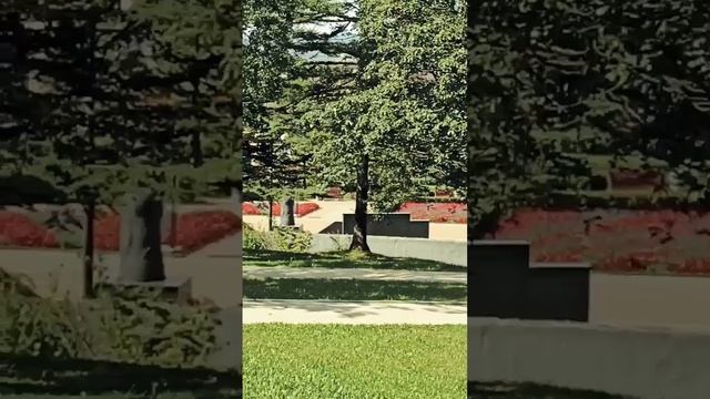 Долетался.mp4