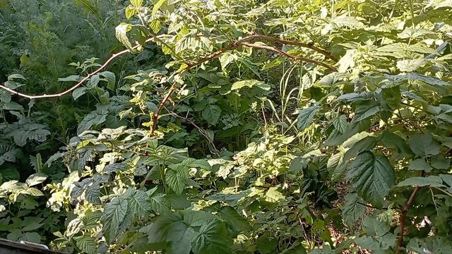 неадекватное и тупое начальство..итог.