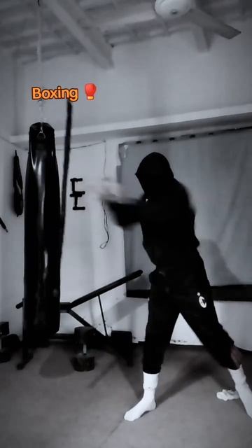 7976146373279.mp4