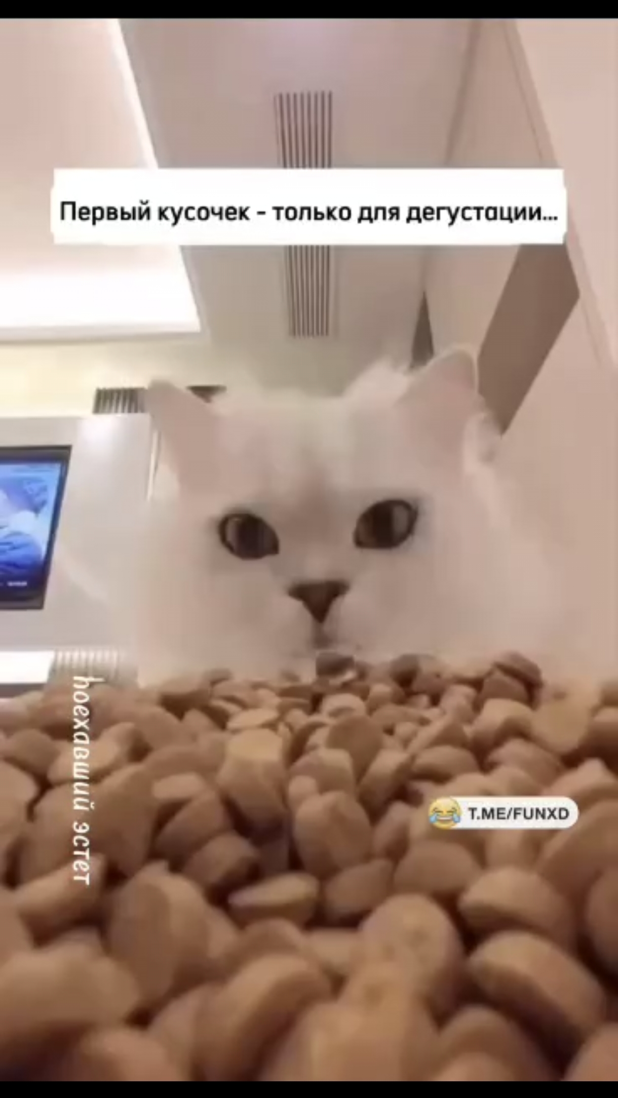 Первый кусочек для дегустации