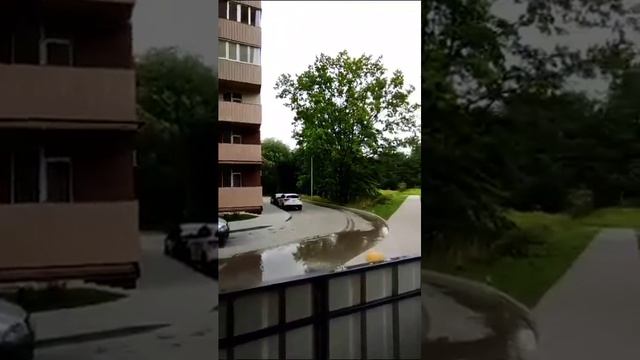 Продажа квартиры с новым ремонтом г. Калининград ул. Толстикова дом 8