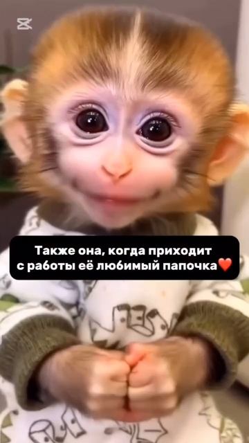 вот так всегда😅
