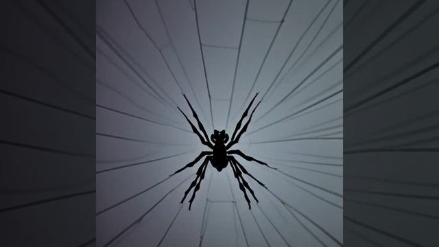 753d7d90836f4517b6555c3b010bc833