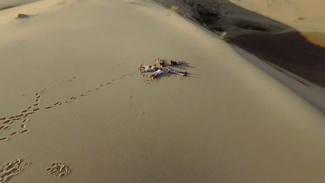 Пустыня Гоби, Монголия.