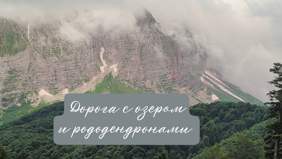 Наше утро на горной реке и  дорога на Водопадистый с озером, горами  и рододендронами