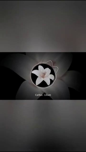 Caritas - Lilium (Official video) #shorts #music #caritas #garage #ukgarage #housemusic #lilium