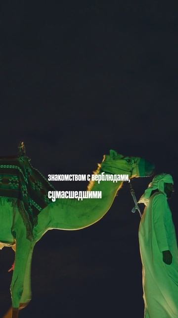 Самая бесполезная трата? #travel #оаэ #абудаби #путешествия #uae #abudhabi