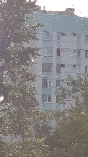 Питер. Страшный сон астматика...