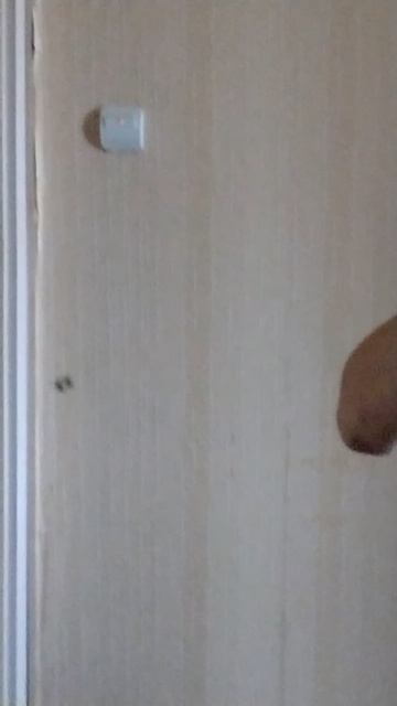 1000039032.mp4