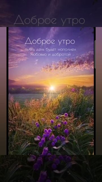 Доброе утро #доброеутро #благодарность