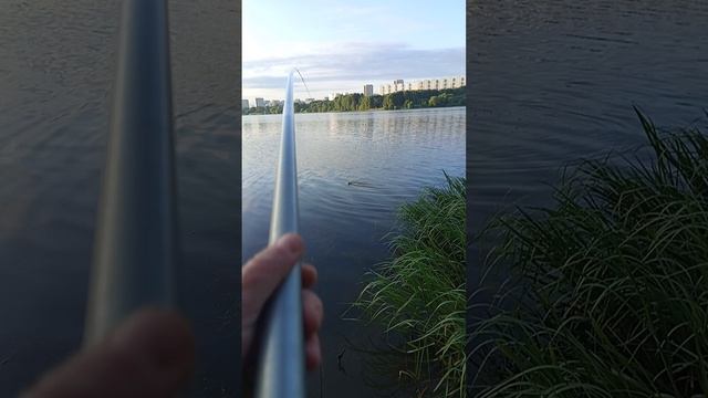 1000020928.mp4