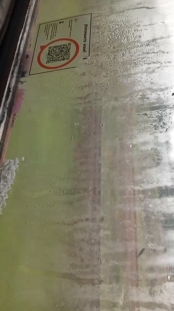 scene_output.mp4