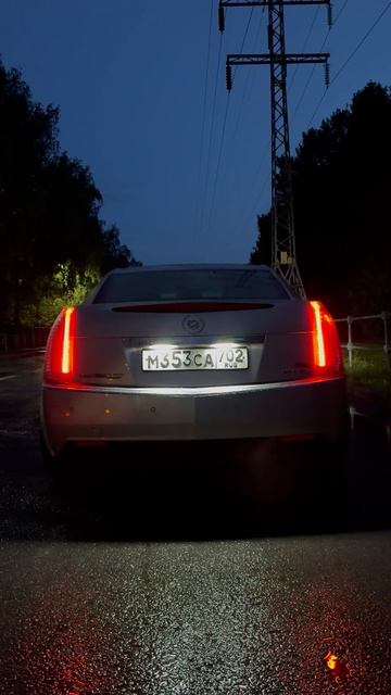 Стронгеры Cadillac cts 2 3.6 v6