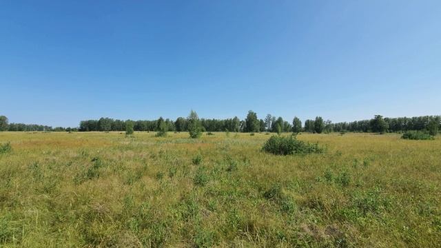 20250611_144618 (online-video-cutter.com)