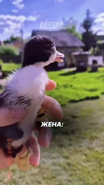 Едем на курорт?