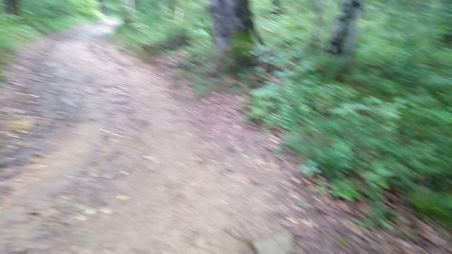 VID_20250621_084659