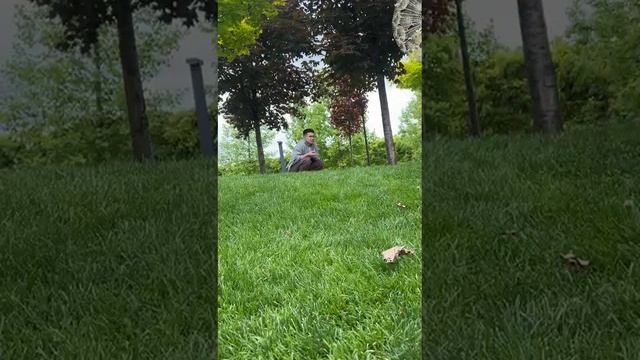 VID-20250512-WA0028