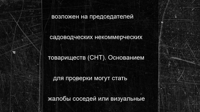 Российских дачников предупреждают о проверках: кто может лишиться участка?