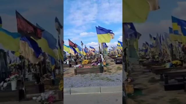 Любители зели дают общее интервью из преисподней
