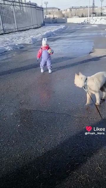 1000000125.mp4