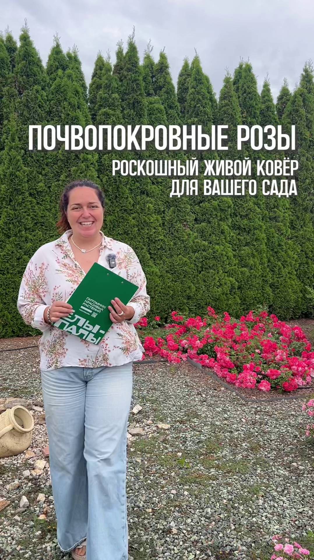 Почвопокровные розы – роскошный «живой ковёр» для вашего сада!