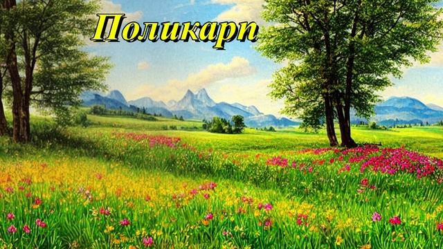 Поликарп