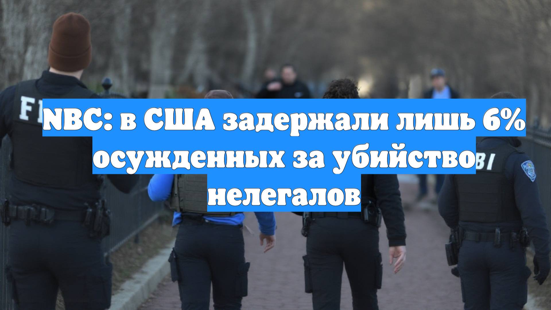 NBC: в США задержали лишь 6% осужденных за убийство нелегалов