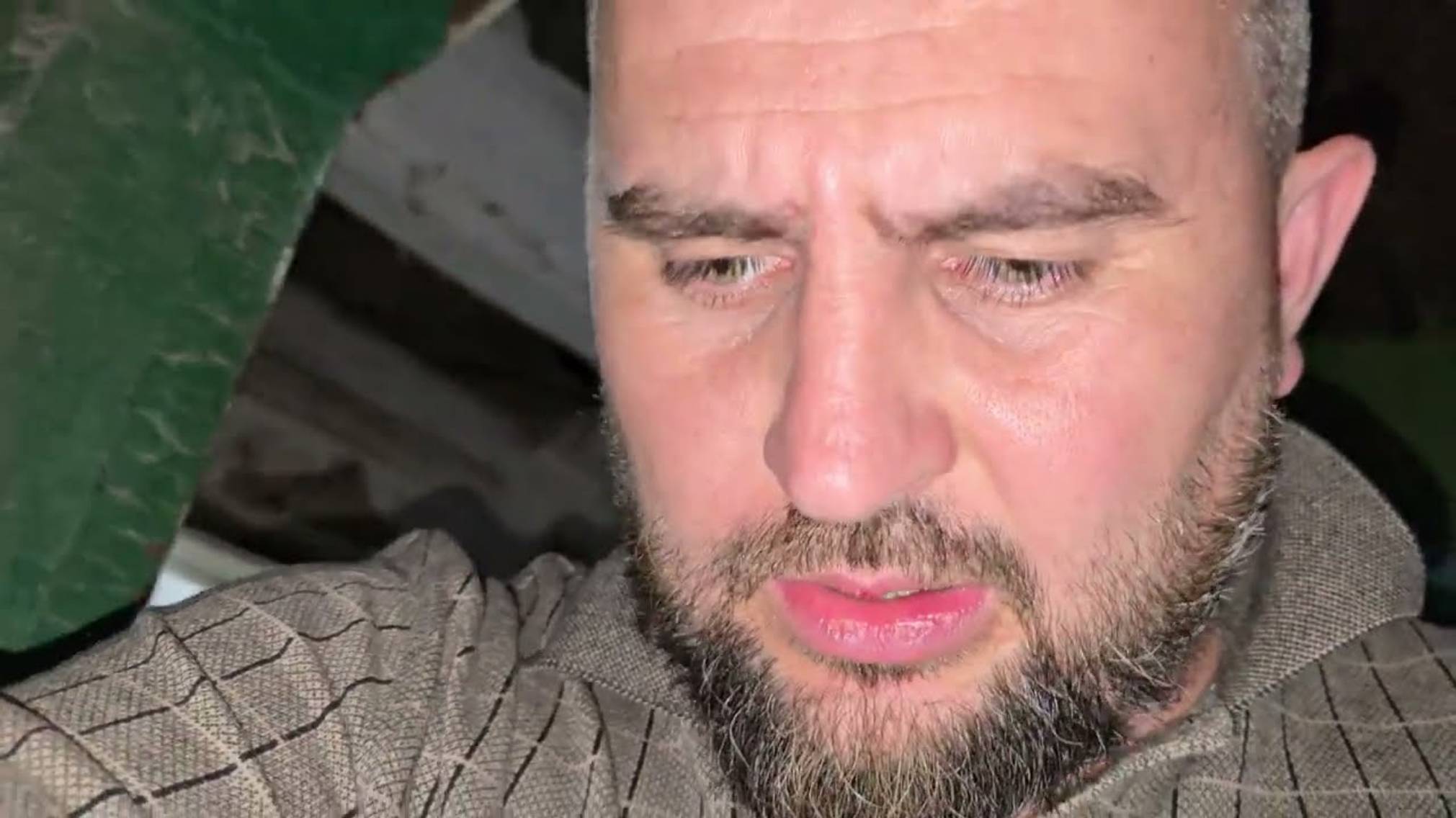 Андрей Новиков. Вывод утят, Куда мне их столько