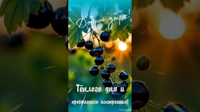 Прекрасного лёгкого Доброго утра🌝💖