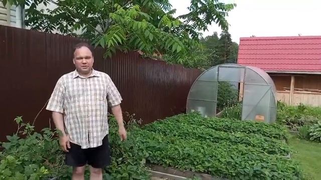 Забор Иркутск отзывы, Иркмет отзывы, забор из профнастила Иркутск