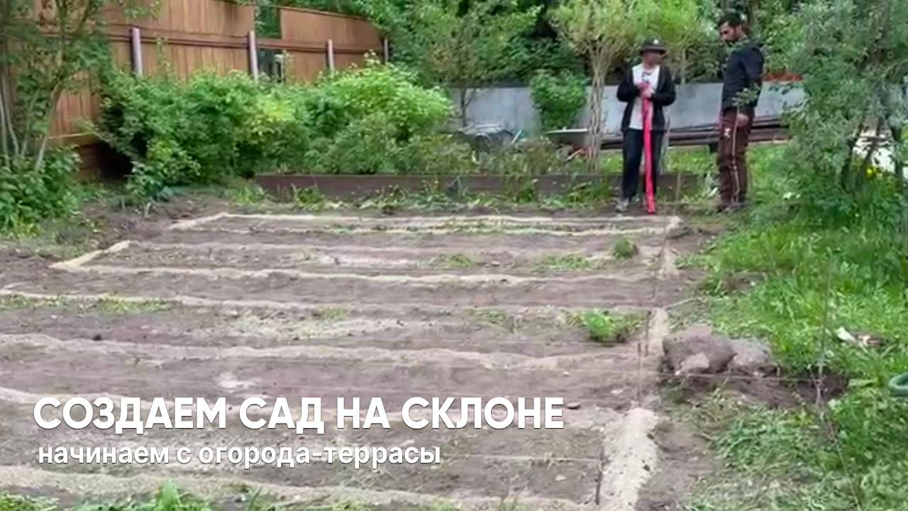Создаем сад на склоне. Террасированный огород