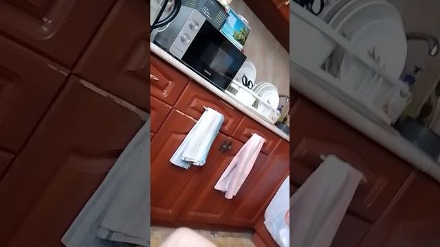 VID_20250626_161647.mp4