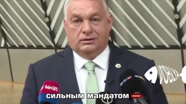 Венгрия не поддерживает вступление Украины в ЕС — Виктор Орбан
