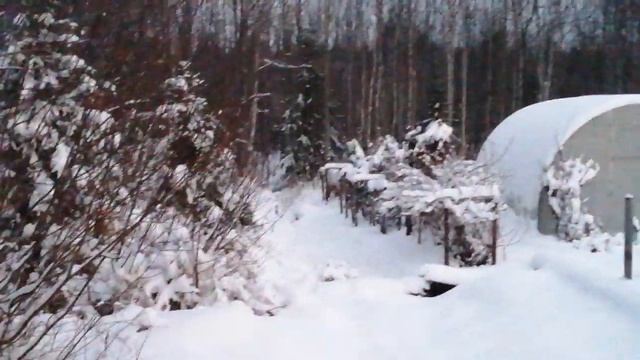 18.11.2024.Дача.зима началась ❄️❄️❄️❄️в четвёртый раз)) 🥶